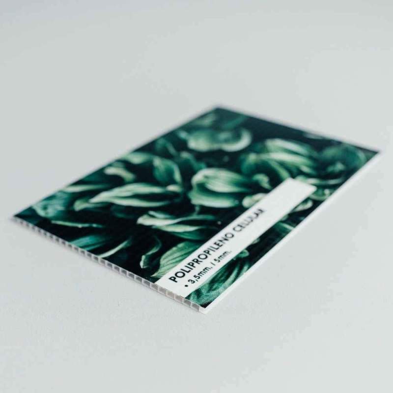 Detalle polipropileno celular