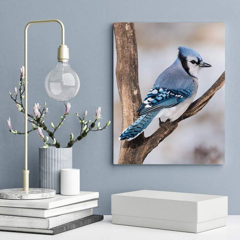 foto lienzo barato de polipropileno