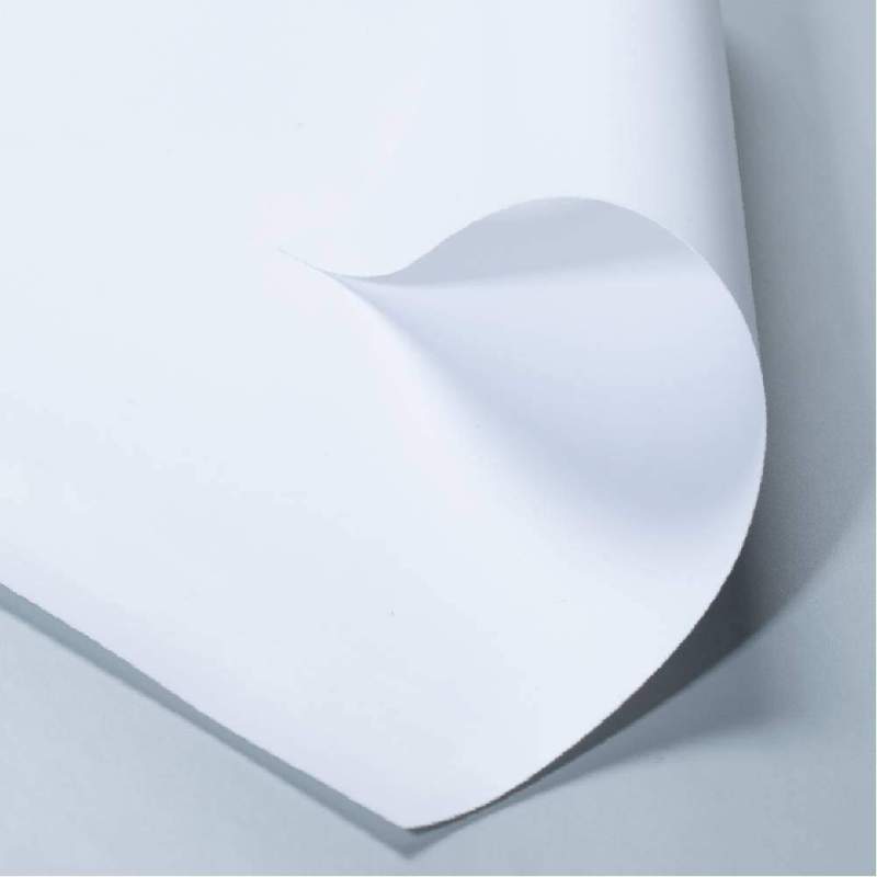 trasera papel fotográfico