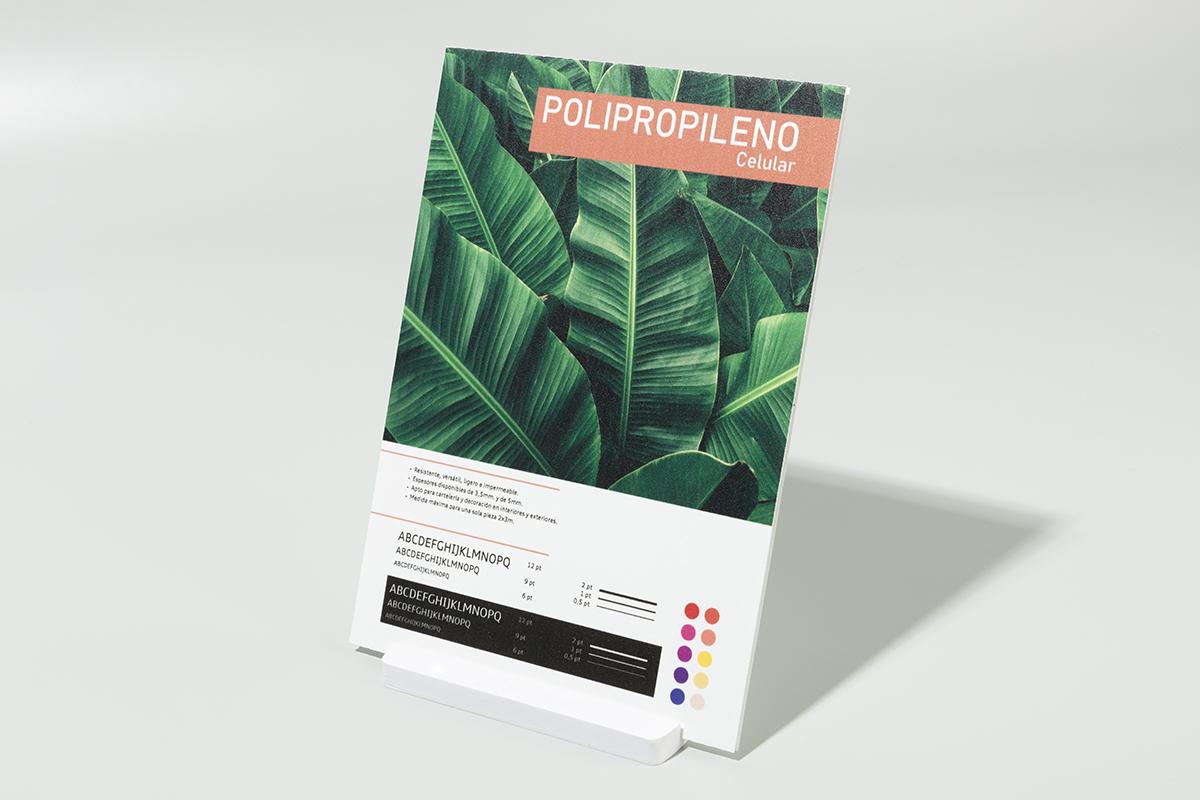 Polipropileno celular
